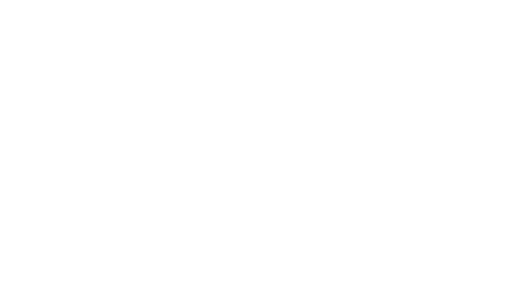 Roots and Stones Fotografie